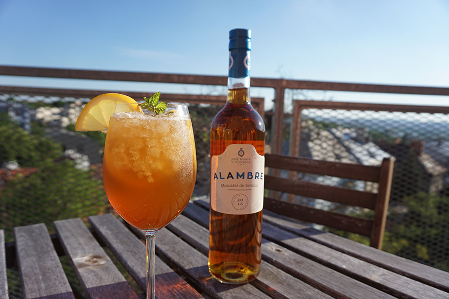 alambre-ginger